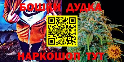 МДПВ Ставрополь