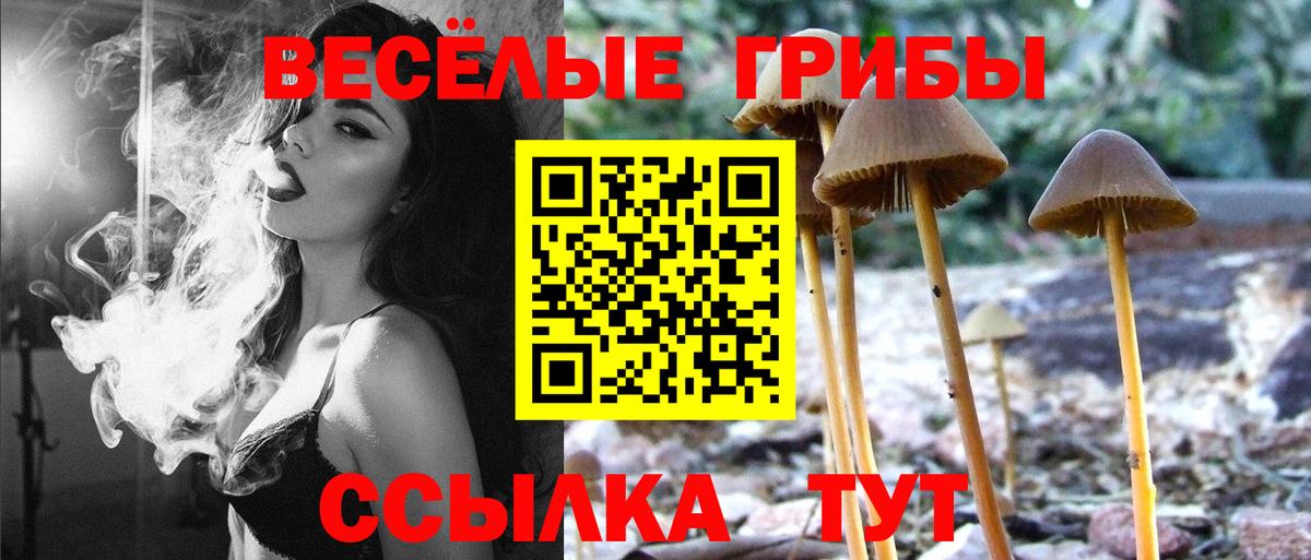 Псилоцибиновые грибы ЛСД Аксай